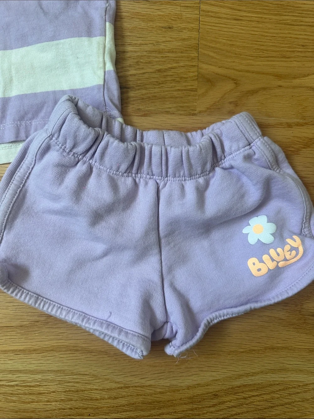 Zara Lavender and Cream Striped Bluey Tee with Lavender Shorts